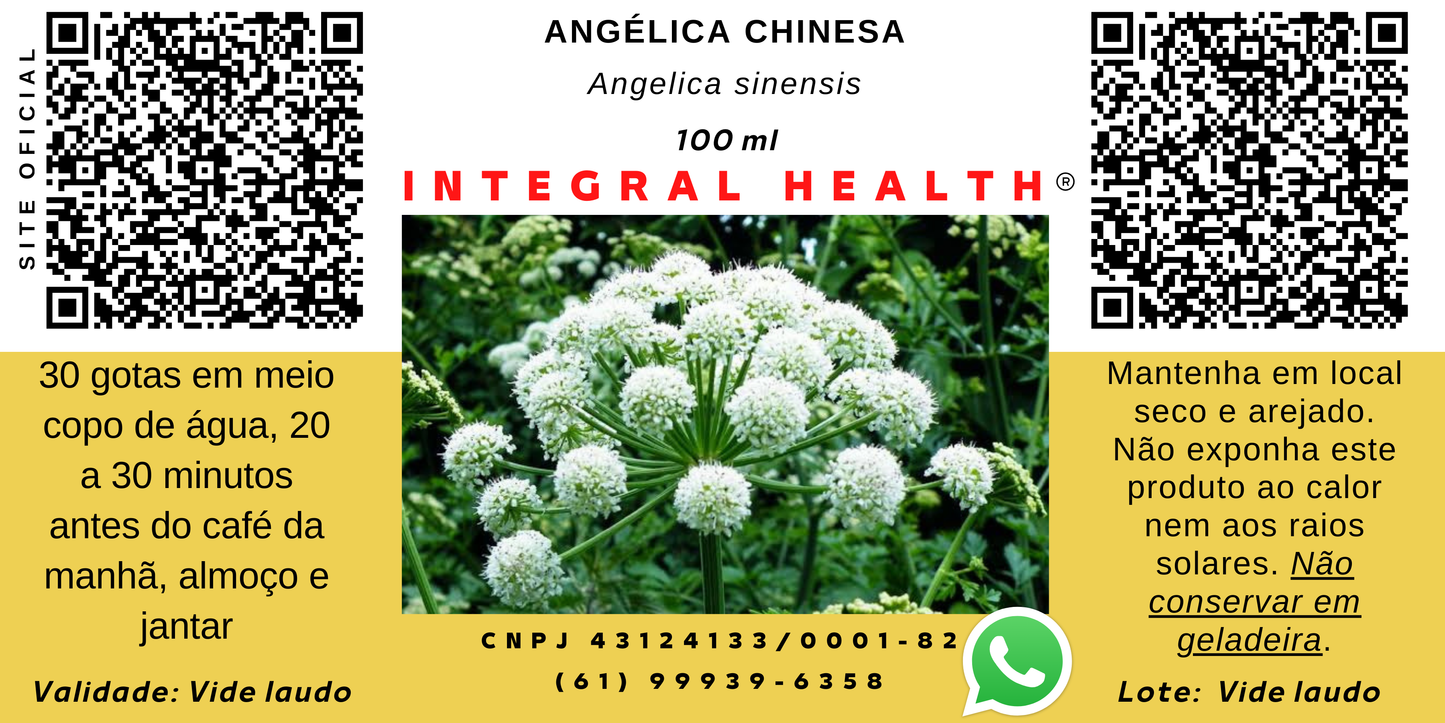 Dong quai (angélica-chinesa) - Angelica sinensis - TPM, Menopausa, Miomas, Descongestionante uterino, Cólicas menstruais, Tônico sanguíneo, Circulação, Anemia, Constipação severa, Memória fraca. Emagrecimento etc.