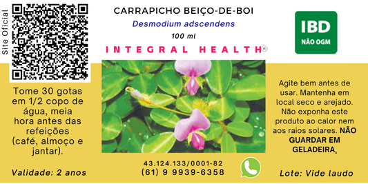 Carrapicho-beiço-de-boi - 200 ml - Problemas femininos (útero e ovários) e, principalmente, Asma, Bronquite, Bronquiolite, Sinusite, Apneia do Sono, DPOC etc. - Desmodium adscendens