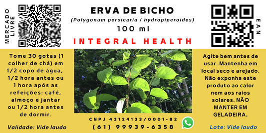 Erva de Bicho - 2 frascos de 100 ml em vidro âmbar - Hemorroidas, vasoconstritora, cicatrizante, anti-inflamatória, estresse oxidativo, doenças respiratórias e gastrointestinais, diabetes, alguns tipos de câncer etc