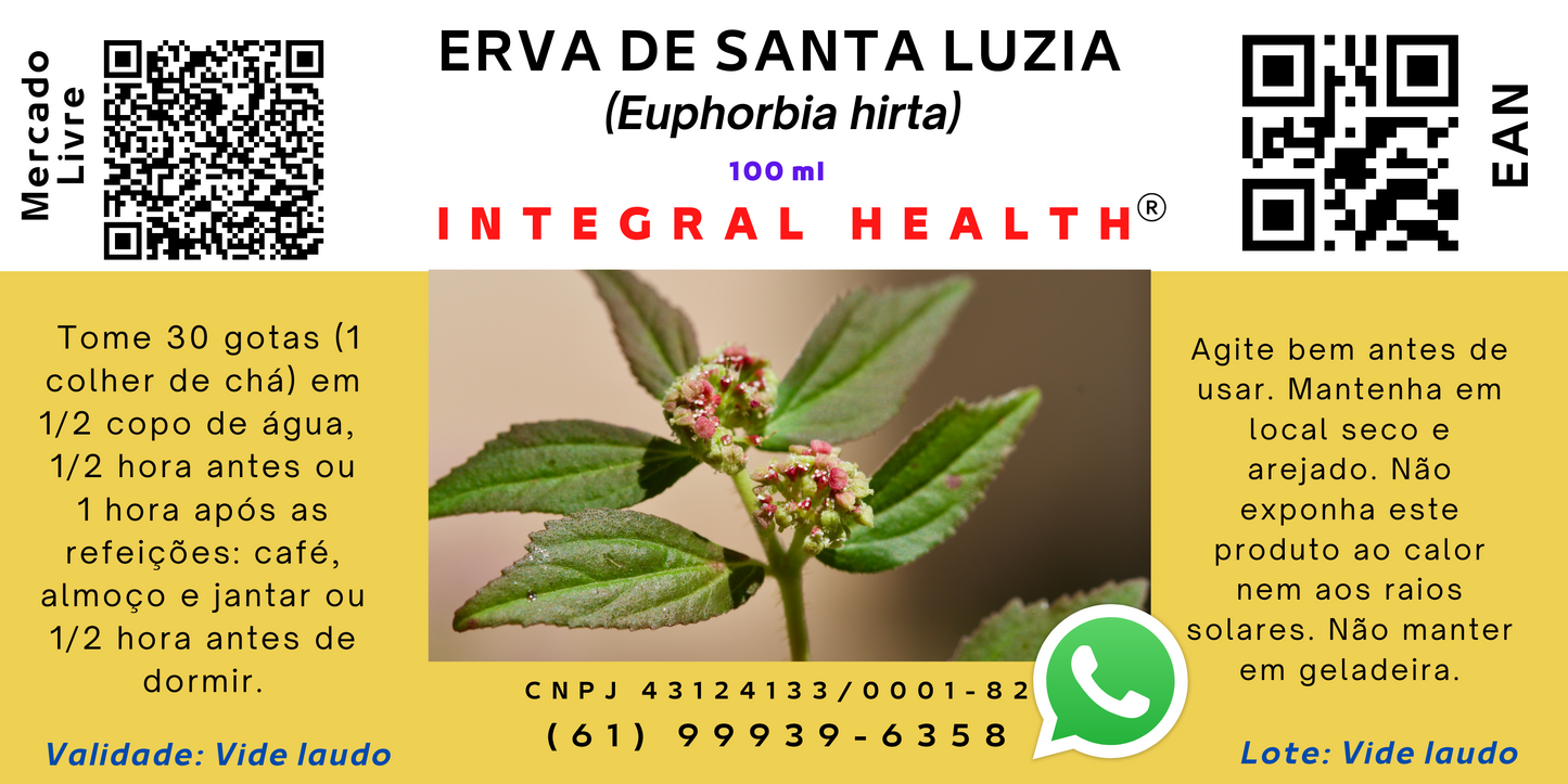 Erva De Santa Luzia - 2 frascos de 100 ml em vidro âmbar - Antialérgica, Antimicrobiana, Antidiarreica, Antitérmica, Anti-inflamatória, Antiasmática, Anti-anafilática, Antidiabética, Anti-HIV, Anticancerígena, Diurética, Oftálmica, Nefroprotetora etc.