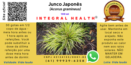 Junco Japonês (Junquinho), 200 ml (2 frascos de 100 ml em vidro âmbar - Acorus – Acorus gramineus