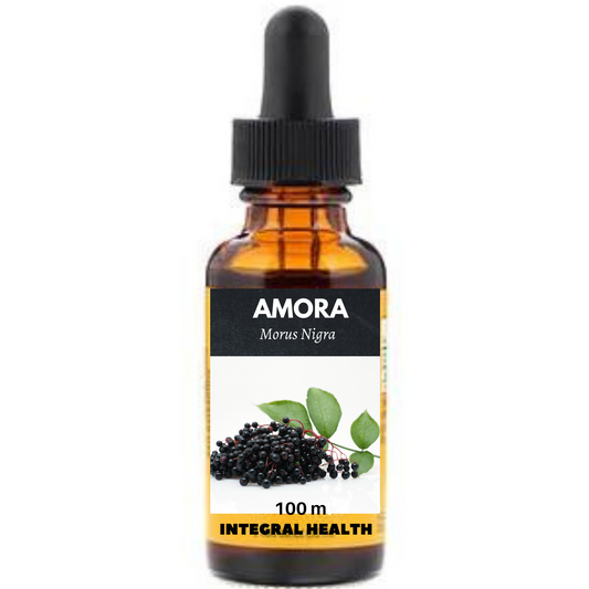 Amora, 200 ml (2 frascos de 100 ml em vidro âmbar) - Morus nigra